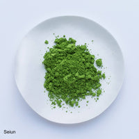 Bright green loose Japanese Ippodo Tea Shoin matcha powder on white plate on white table