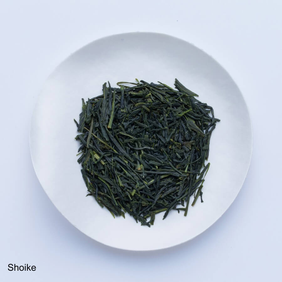 Ippodo Tea - Shoike Sencha (80g Bag) - Medium & Round - For