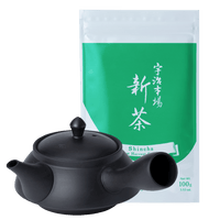 Ippodo Tea Shincha new harvest tea bag with a black kyusu teapot. Fresh Japanese green tea.
