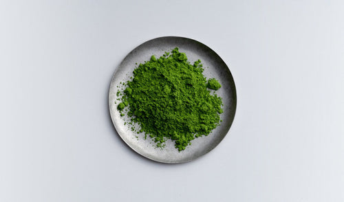 How to Keep Your Matcha Fresh