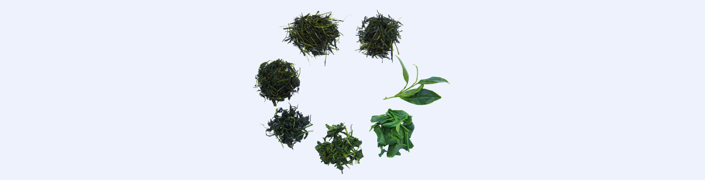 Shincha 2026: What to Expect This Year