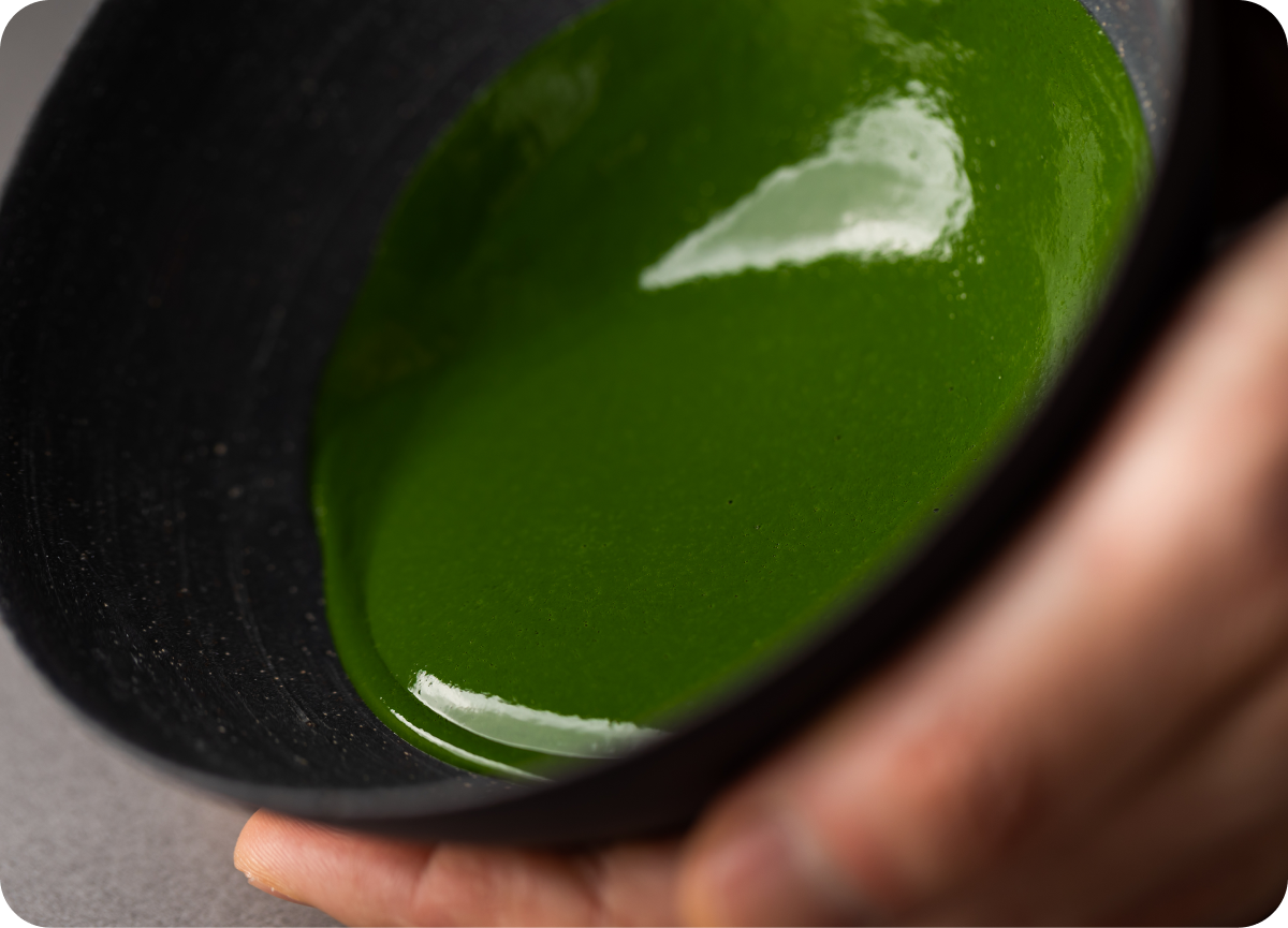 Dark green thick koicha Japanese matcha in Ippodo Tea dark chawan tea bowl