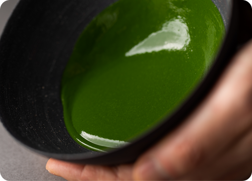 Dark green thick koicha Japanese matcha in Ippodo Tea dark chawan tea bowl