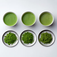 Side by side comparison of color of Ikuyo, Horai and Ummon matcha green tea in powder form on small plates and brewed as tea