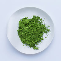 Bright green loose Japanese Ippodo Tea Ikuyo matcha powder on white plate on white table