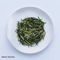 Ippodo Tea Stems Sencha sample depicting light and dark green loose stems on white plate 