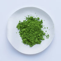 Bright dark green loose Japanese Ippodo Tea Sayaka-no-mukashi matcha powder on white plate on white table