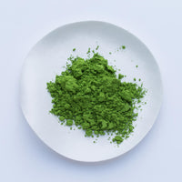 Bright dark green loose Japanese Ippodo Tea Ummon Ummon-no-mukashi matcha powder on white plate on white table