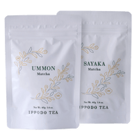 Matcha Favorites Bundle