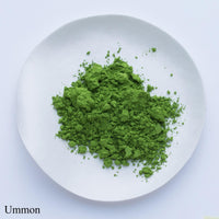 Vibrant green loose stone ground Japanese Ippodo Tea Ummon Ummon-no-mukashi matcha powder on white plate on white table