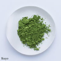 Spring green loose fine ground Japanese Ippodo Tea Ikuyo Ikuyo-no-mukashi matcha powder on white plate on white table