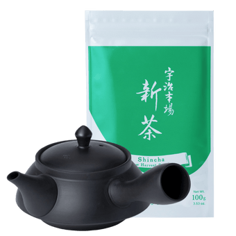 Ippodo Tea Shincha new harvest tea bag with a black kyusu teapot. Fresh Japanese green tea.