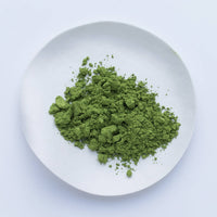 Bright green loose Japanese Ippodo Tea Wakaki matcha powder on white plate on white table