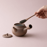 Pouring wooden spoonful of tightly rolled dried green tea into brown Yakishime Kyusu teapot alongside lid on pale pink table