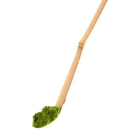 Long handle Ippodo bamboo tea ladle (Chashaku) with green match powder on end of rounded tip against white background